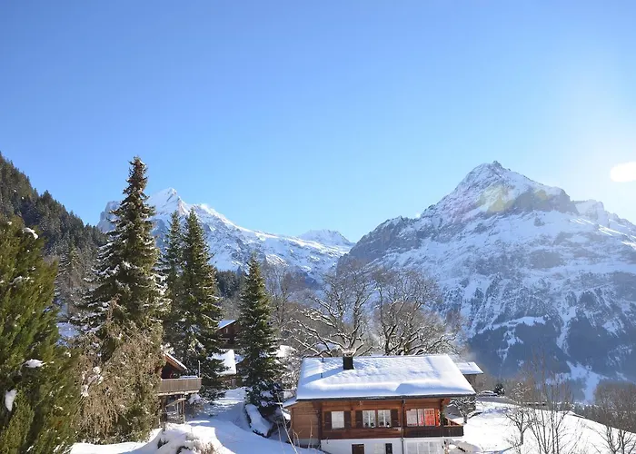 Apartamento Paradise - Griwa Rent Ag Grindelwald
