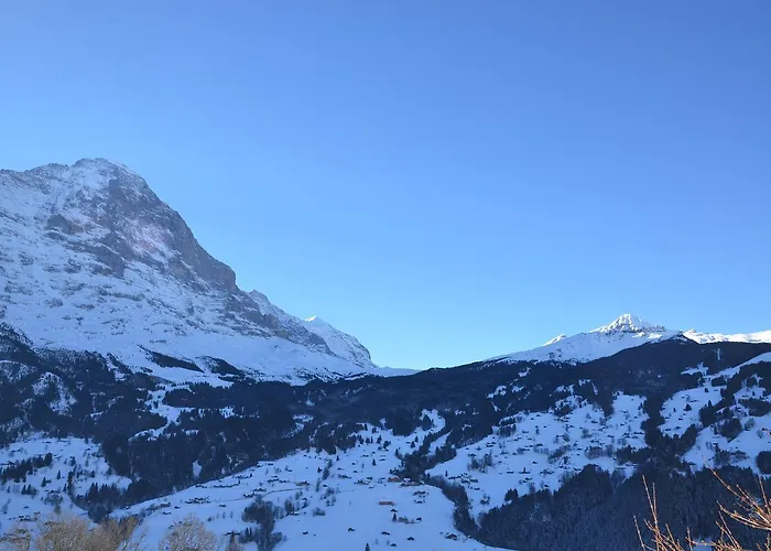 Paradise - Griwa Rent Ag Apartamento Grindelwald
